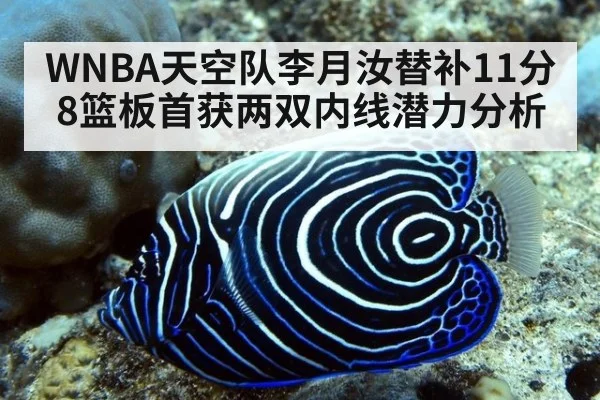 WNBA天空队李月汝替补11分8篮板首获两双内线潜力分析