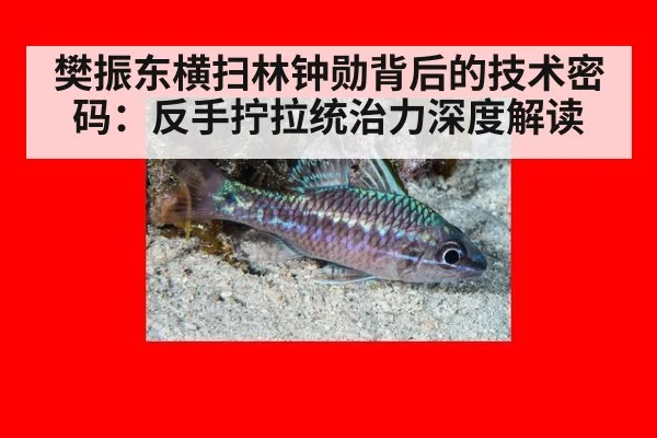 樊振东横扫林钟勋背后的技术密码：反手拧拉统治力深度解读