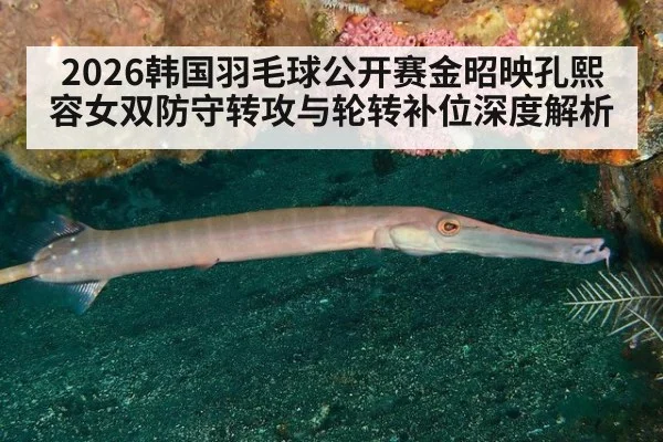 2026韩国羽毛球公开赛金昭映孔熙容女双防守转攻与轮转补位深度解析